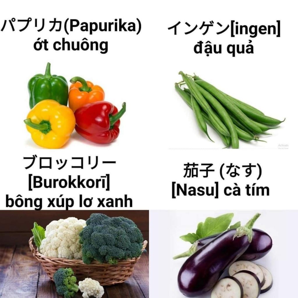 Học từ vựng tiếng Nhật về các loại rau củ quả